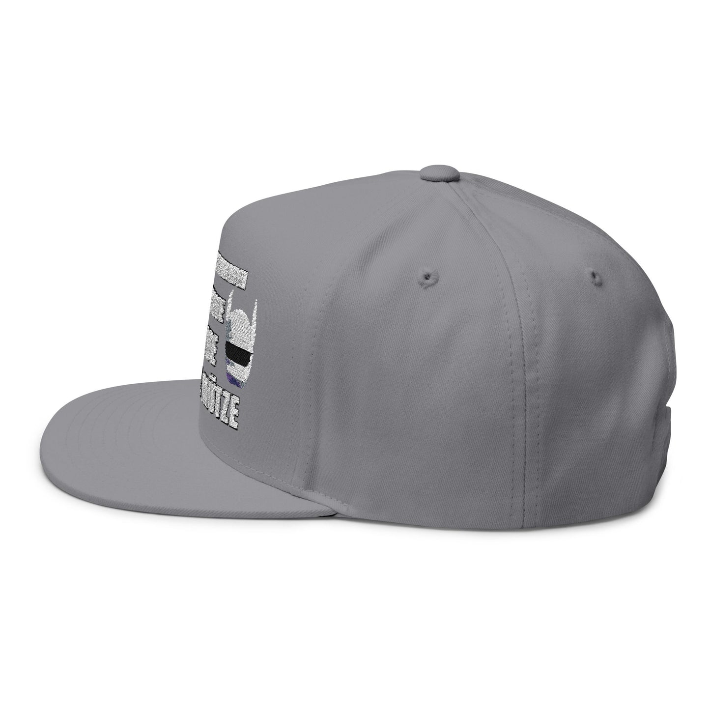 Flat Bill Cap with Fun Embroidery R2D2 - Cro - & ICH