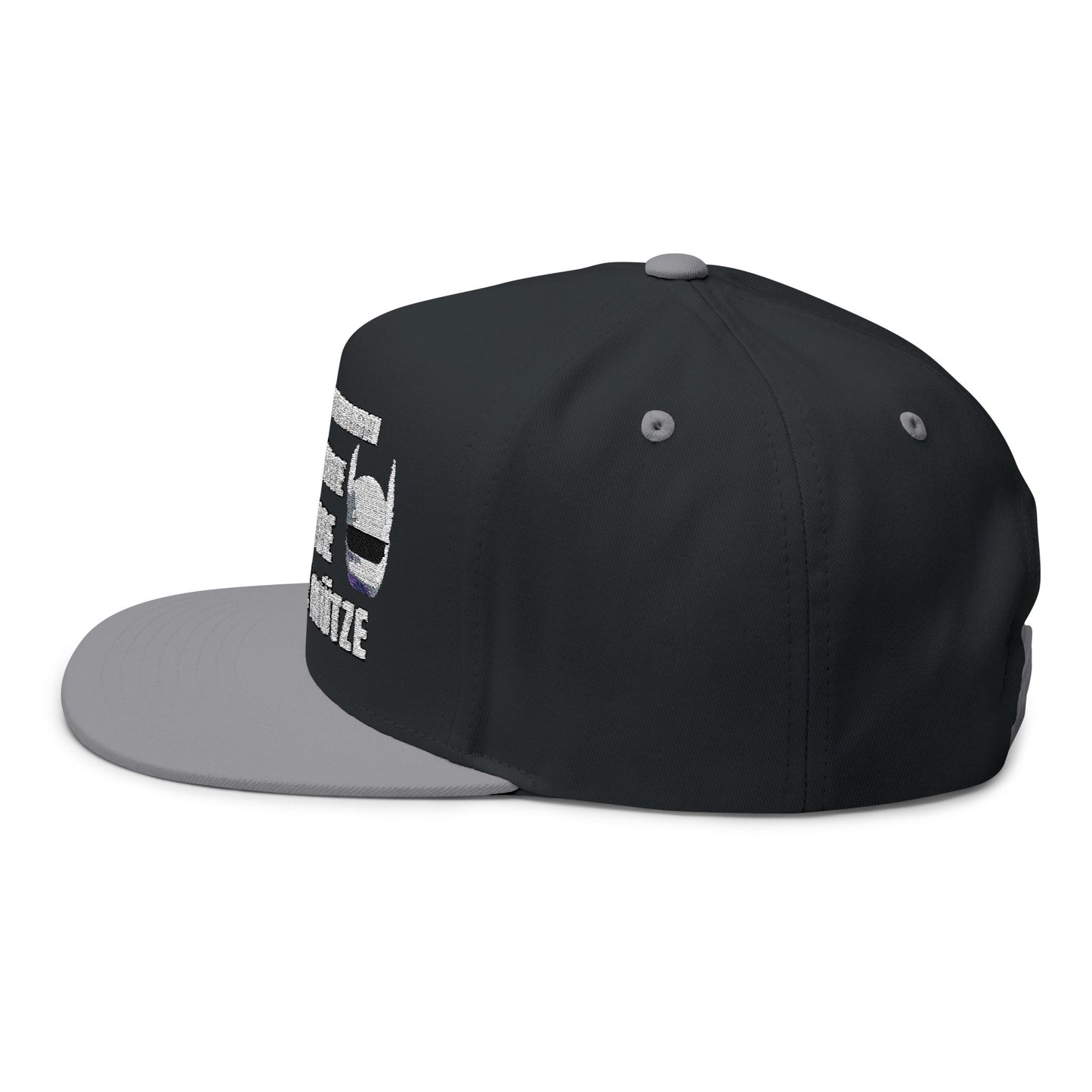 Flat Bill Cap with Fun Embroidery R2D2 - Cro - & ICH