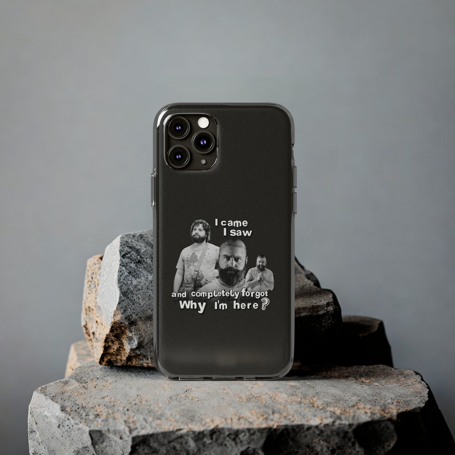 I Came, I Saw & Forgot, Alan Hangover - Funny Phone Case - Handyhülle -