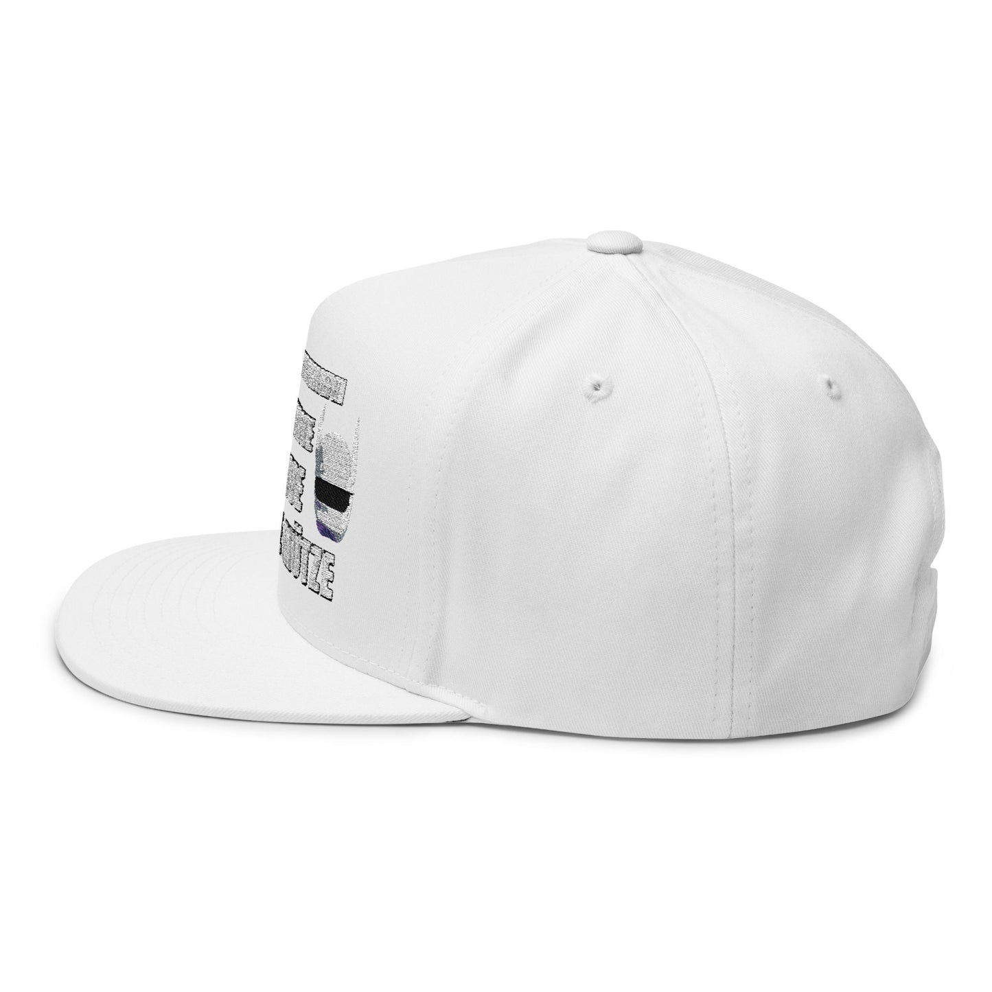 Flat Bill Cap with Fun Embroidery R2D2 - Cro - & ICH