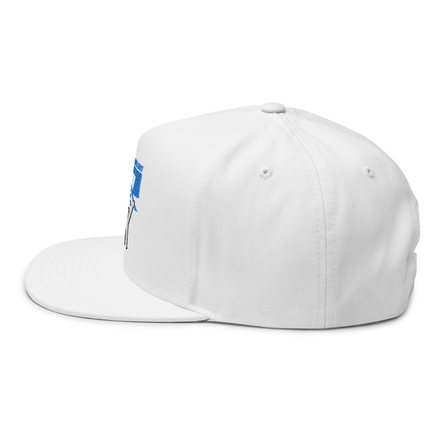 Flat Bill Cap - "You Can Go Your Own Way" Snapback