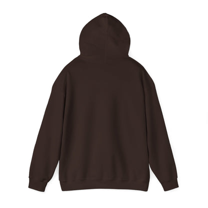 Darth Vader Inspired Hoodie - "Strength grows in the shadows" 