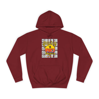 Vibrant College Spirit Hoodie, Unisex College Hoodie