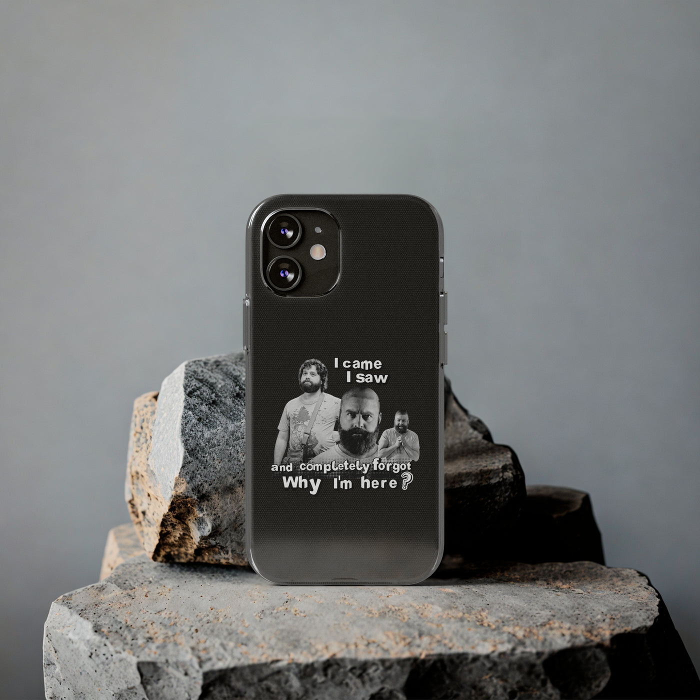 I Came, I Saw & Forgot, Alan Hangover -  Funny Phone Case  - Handyhülle -