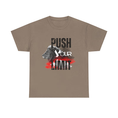 Motivational Unisex Heavy Cotton Tee - "Push Your Limit"