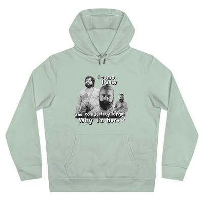 I cam- saw- and forgot why i  am here - Alan Garner Hoodie for Men