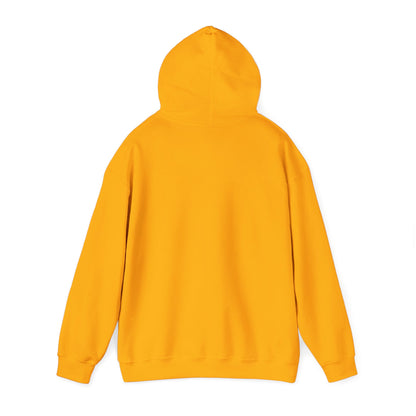 Hoodie - "Don't Look in Anger Back"