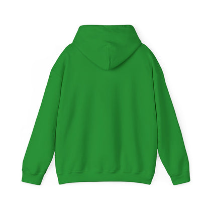 Don't Mess With Alan  Hangover - Hoodie - Funny Sweatshirt for Casual Style