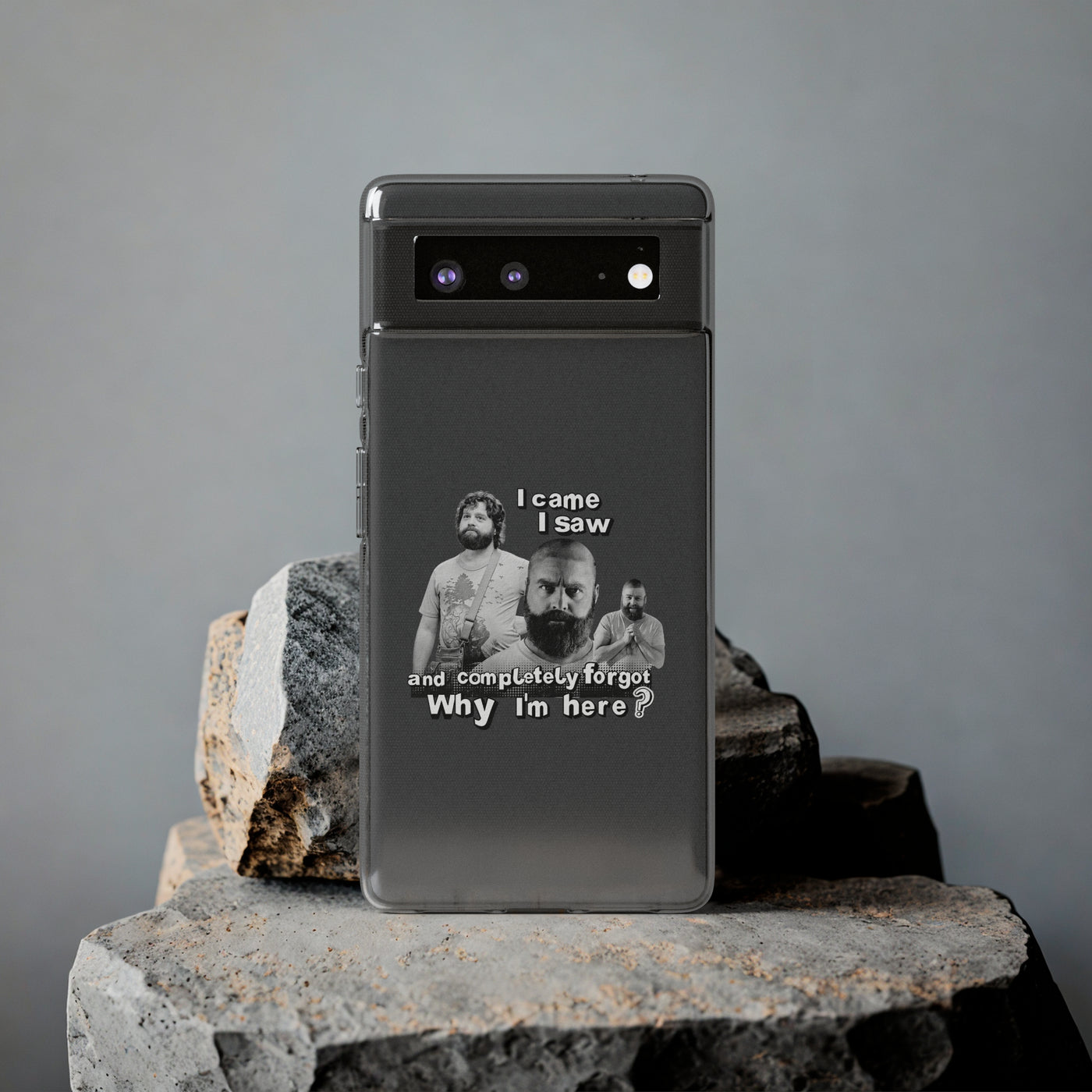 I Came, I Saw & Forgot, Alan Hangover -  Funny Phone Case  - Handyhülle -