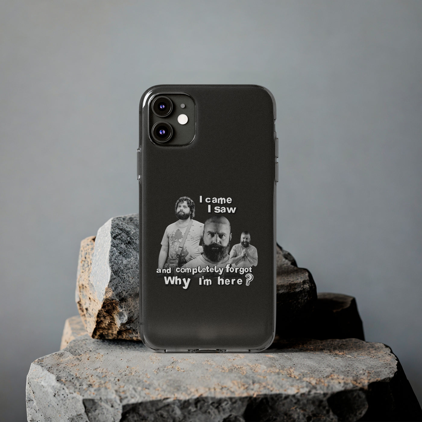 I Came, I Saw & Forgot, Alan Hangover -  Funny Phone Case  - Handyhülle -