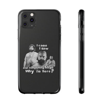I Came, I Saw & Forgot, Alan Hangover -  Funny Phone Case  - Handyhülle -