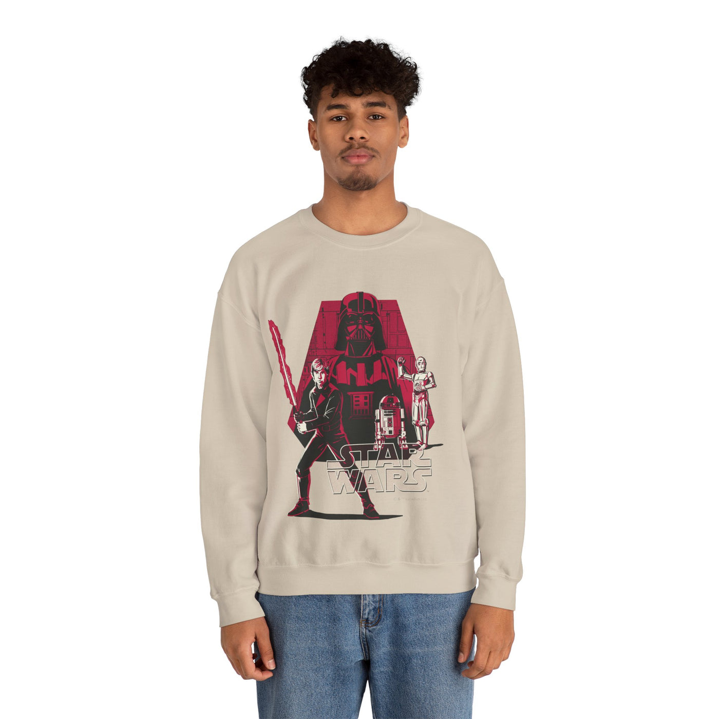 Star Wars Sweatshirt for Fans