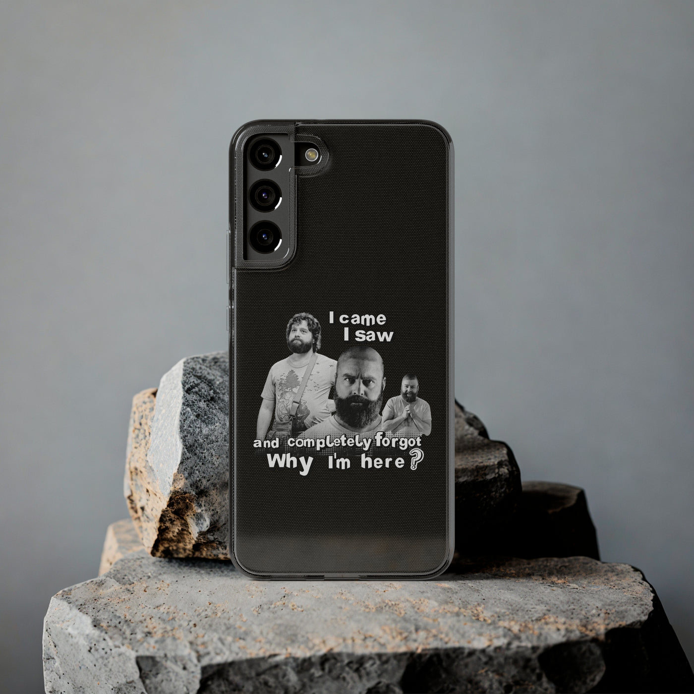 I Came, I Saw & Forgot, Alan Hangover -  Funny Phone Case  - Handyhülle -