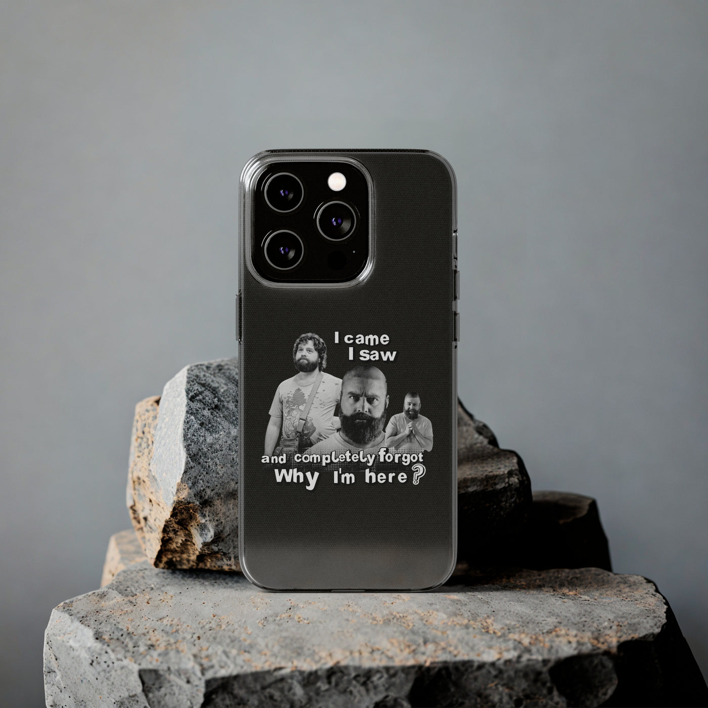 I Came, I Saw & Forgot, Alan Hangover -  Funny Phone Case  - Handyhülle -