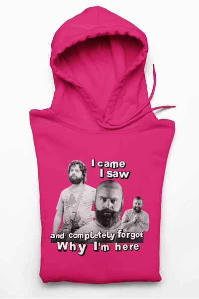 I cam- saw- and forgot why i  am here - Alan Garner Hoodie for Men