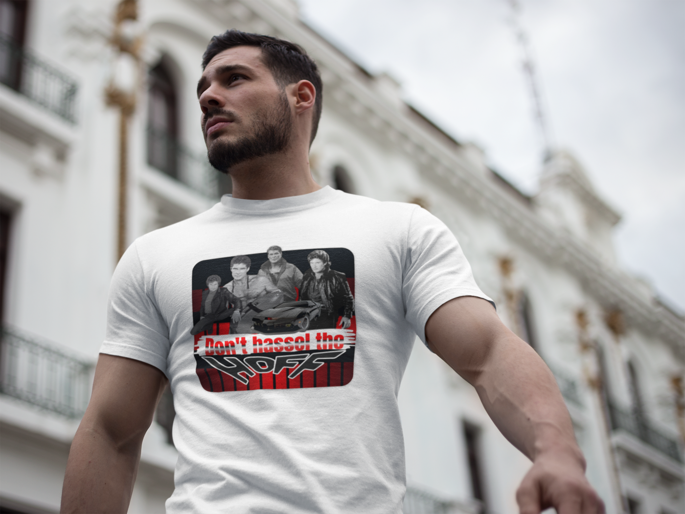 Don't Hassel the Hoff Unisex Heavy Cotton Tee | Retro humor shirt for fans