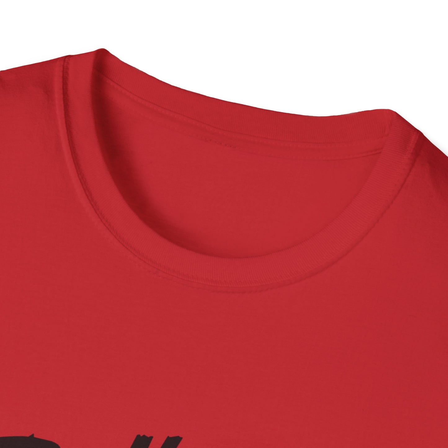 Unisex T-Shirt - God is allways with you
