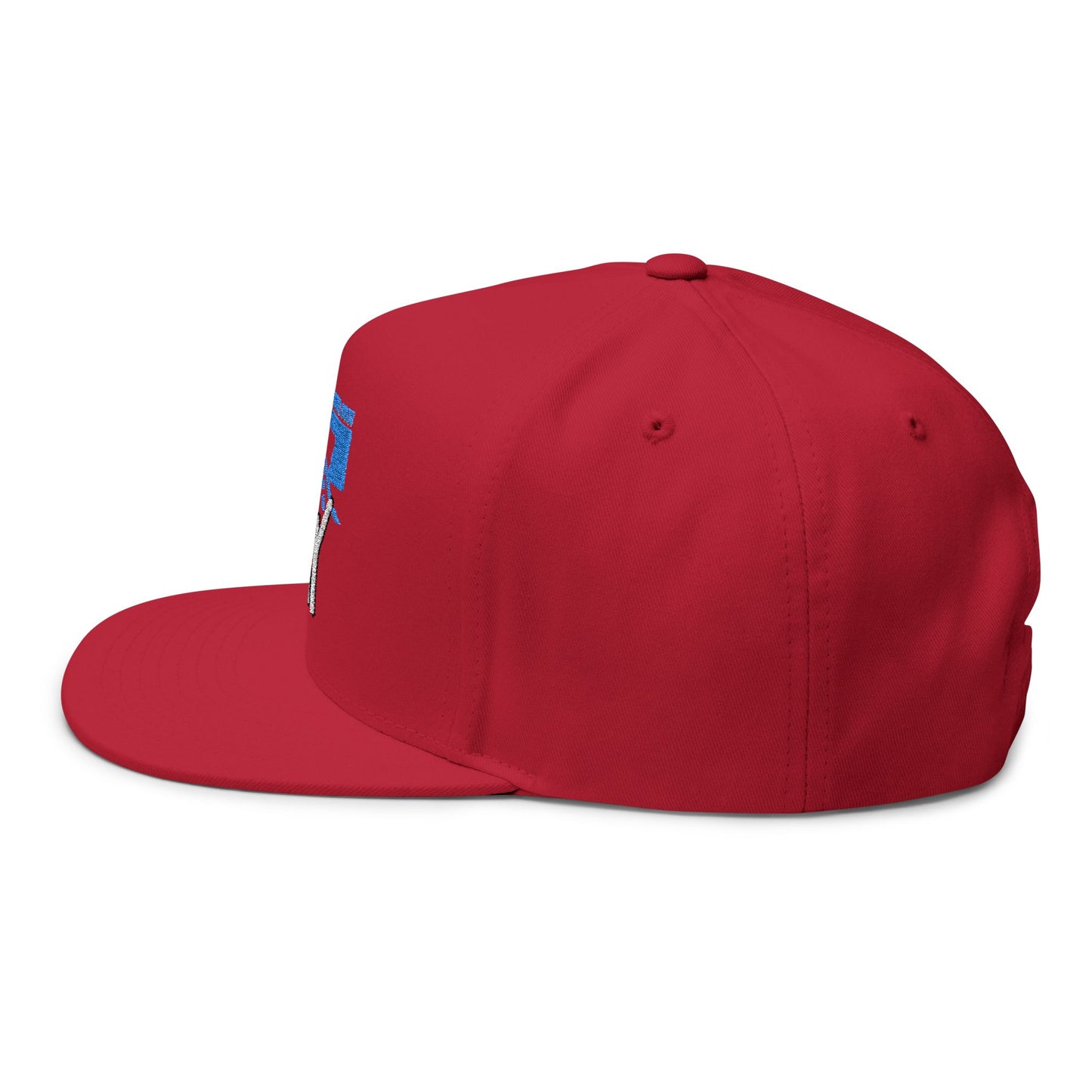Flat Bill Cap - "You Can Go Your Own Way" Snapback