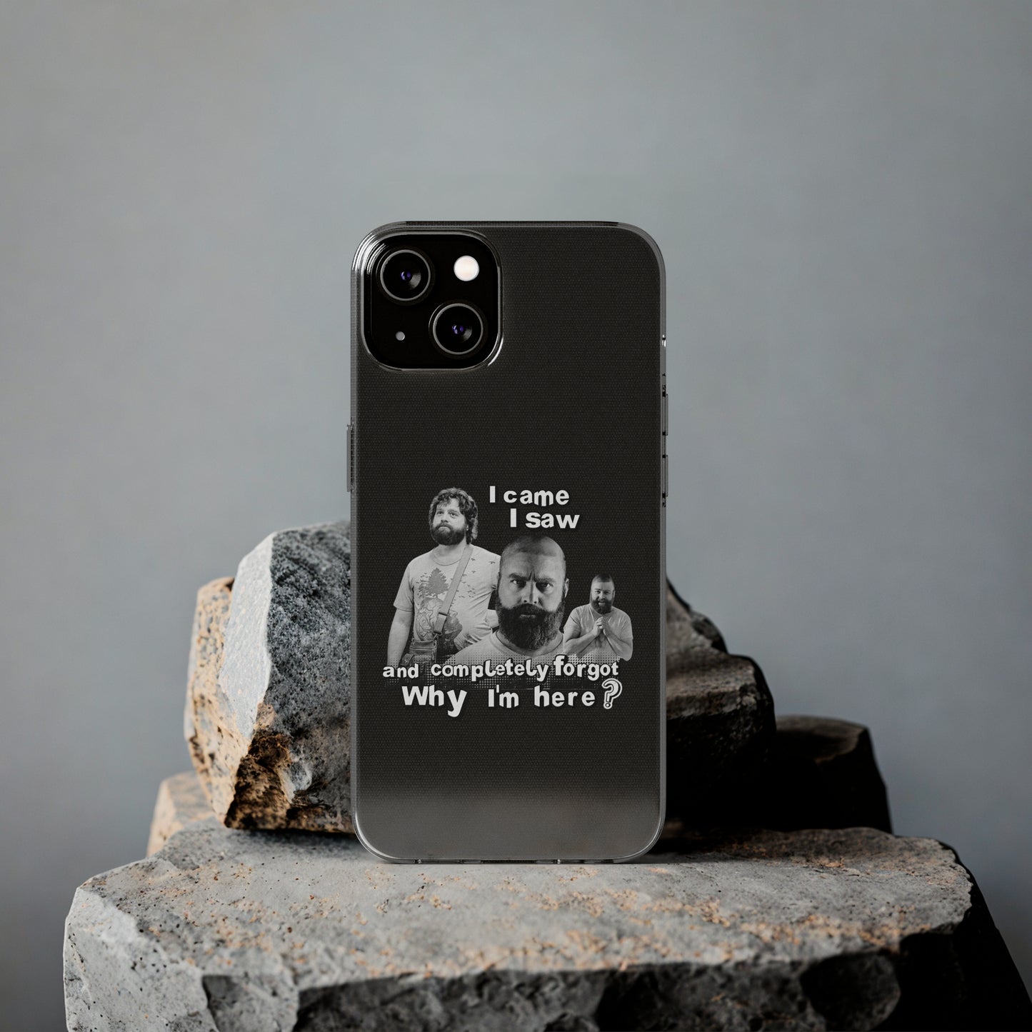I Came, I Saw & Forgot, Alan Hangover -  Funny Phone Case  - Handyhülle -