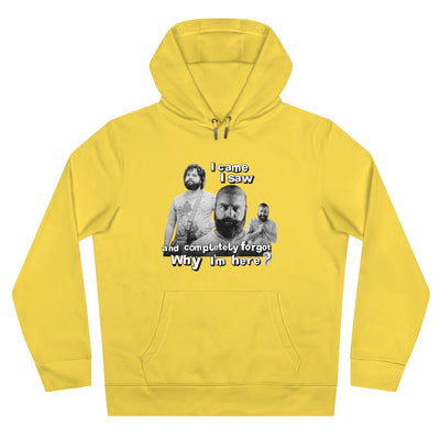 I cam- saw- and forgot why i  am here - Alan Garner Hoodie for Men