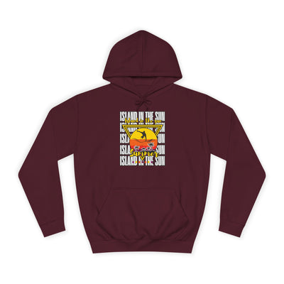 Vibrant College Spirit Hoodie, Unisex College Hoodie
