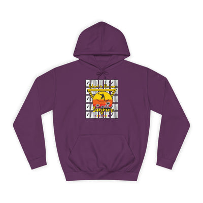 Vibrant College Spirit Hoodie, Unisex College Hoodie