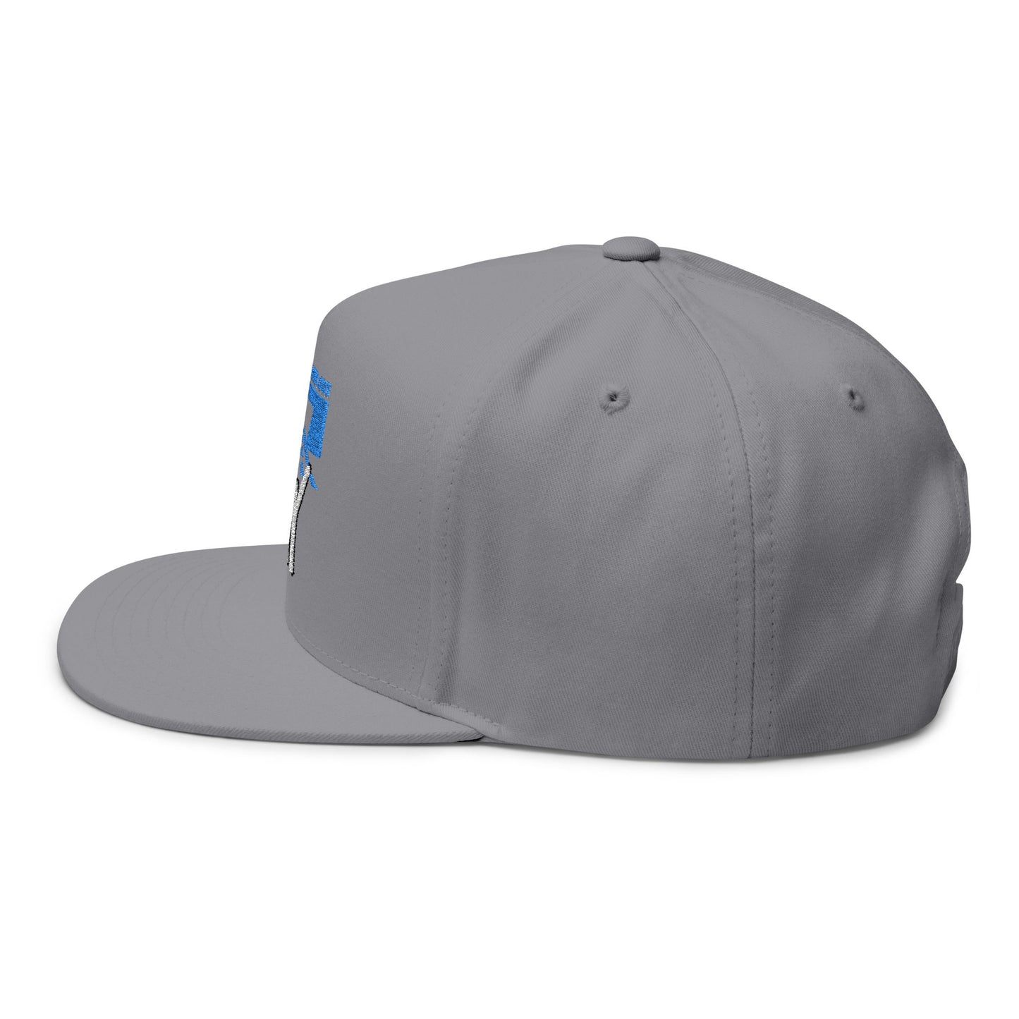 Flat Bill Cap - "You Can Go Your Own Way" Snapback