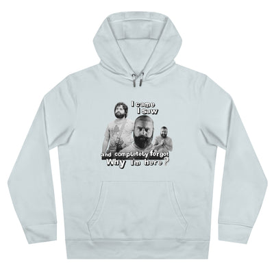 I cam- saw- and forgot why i  am here - Alan Garner Hoodie for Men