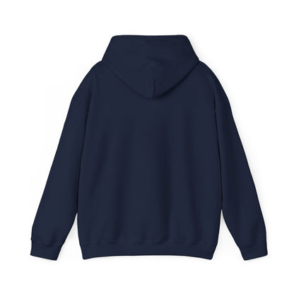 Don't Mess With Alan  Hangover - Hoodie - Funny Sweatshirt for Casual Style