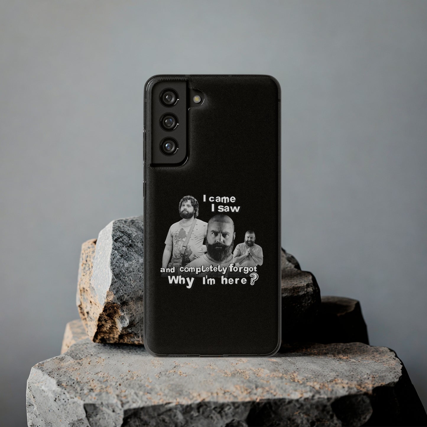 I Came, I Saw & Forgot, Alan Hangover -  Funny Phone Case  - Handyhülle -
