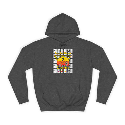 Vibrant College Spirit Hoodie, Unisex College Hoodie